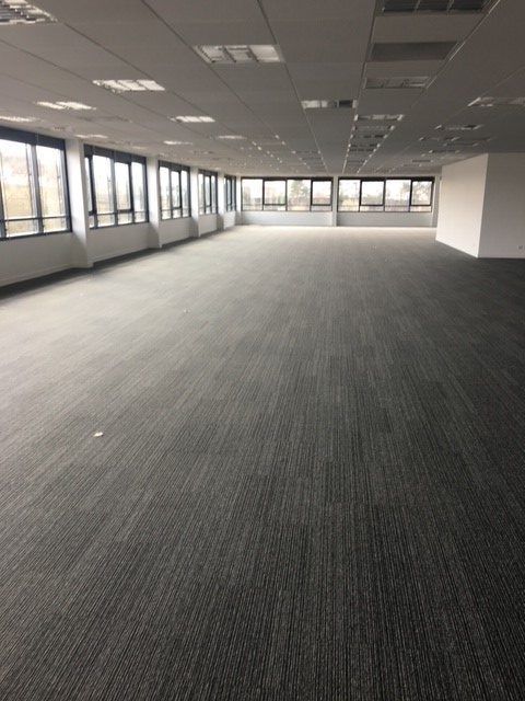 Espace de bureau vide avec moquette grise, nombreuses fenêtres et éclairage au plafond.