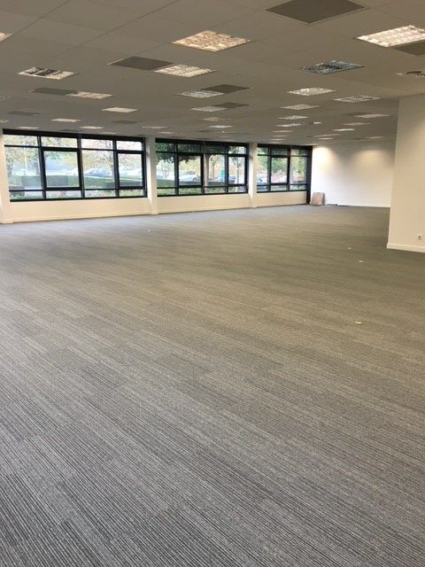 Espace de bureau vide avec moquette grise, grandes fenêtres et éclairage au plafond.