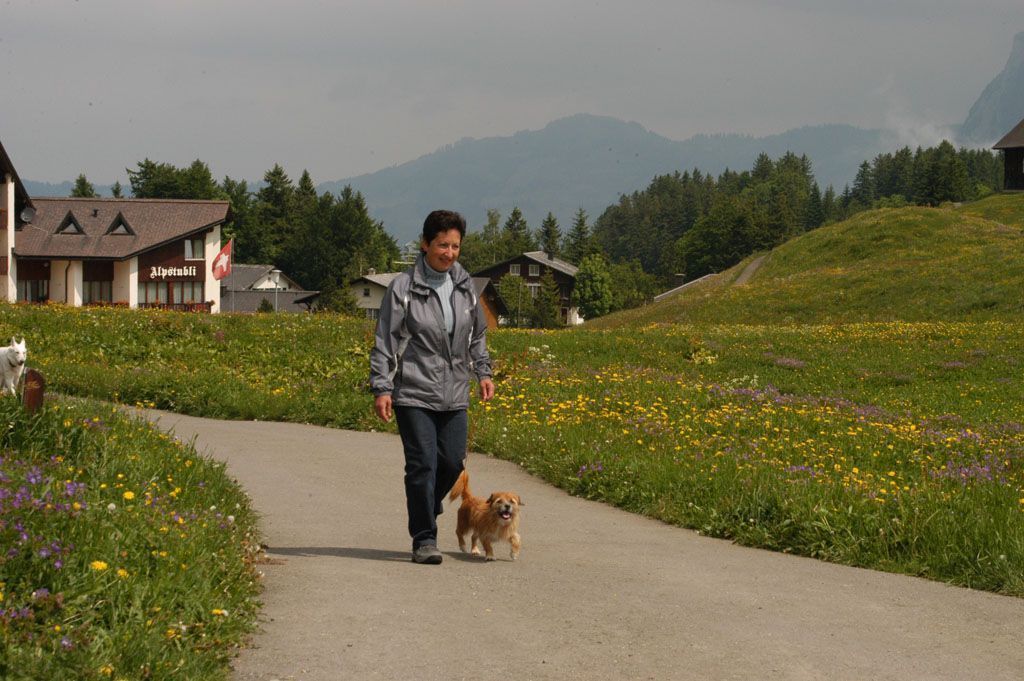 Nala's mobile Hundeschule – Hund mit Besitzerin