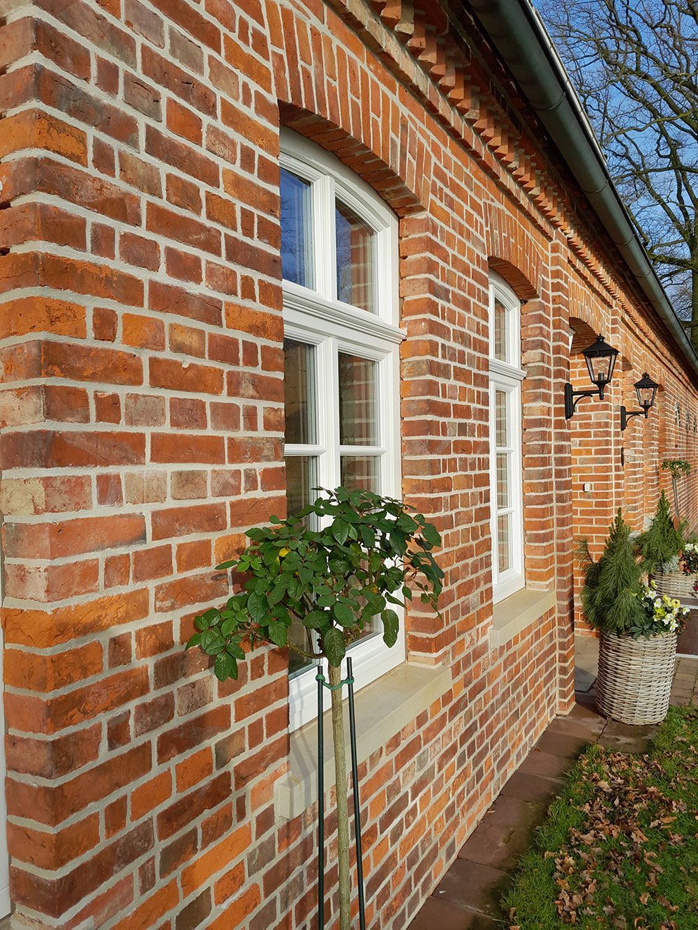 Ein rotes Backsteingebäude mit weißen Fenstern und einer Pflanze davor.