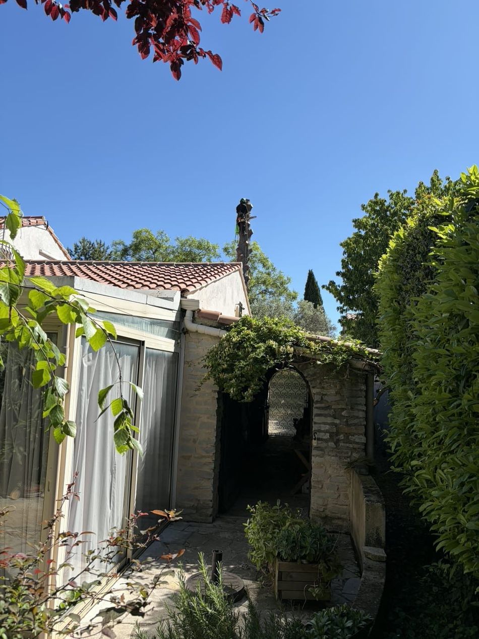Une personne derrière une maison au sommet d'un arbre.