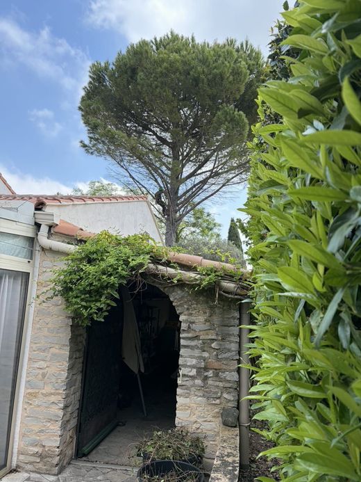Une personne en train de grimpant jusqu'au sommet d'un arbre.