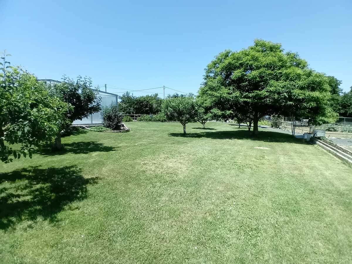 Casa rural de piedra entre viñedos, con ondulantes colinas verdes al fondo.