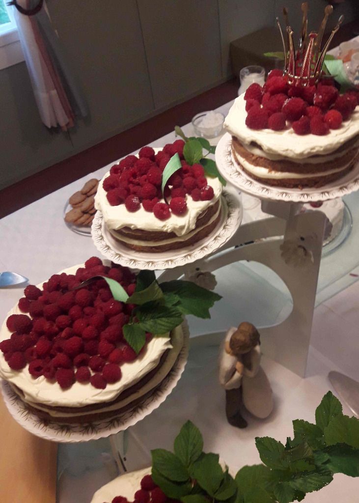 Toijalan Lounaspirtti avoin yhtiö