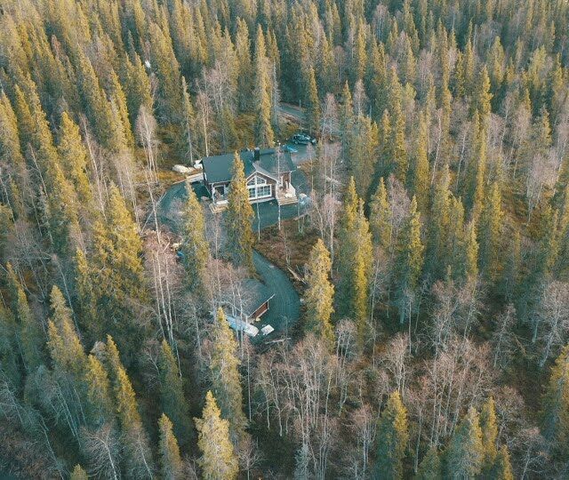 Ilmakuvaa puiden keskelle rakennettavasta hirstitalosta