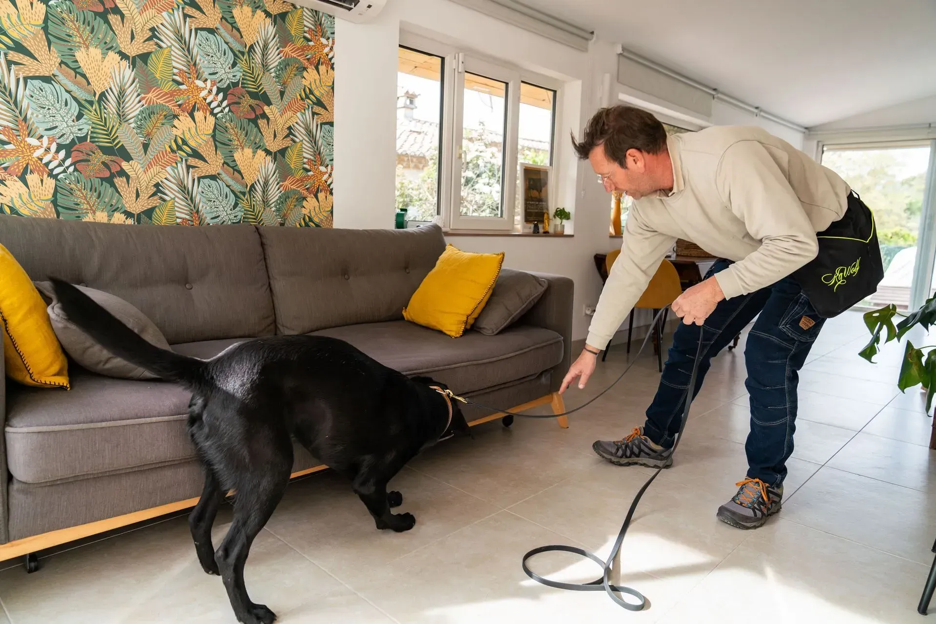 Chien de détection en intervention