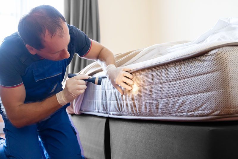 Technicien qui vérifie un matelas 