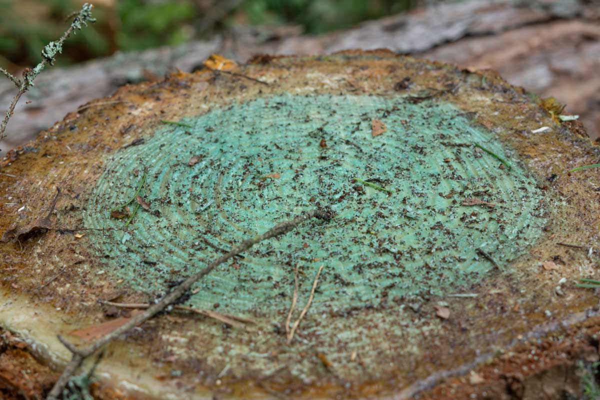 Laadunvalvonta työt