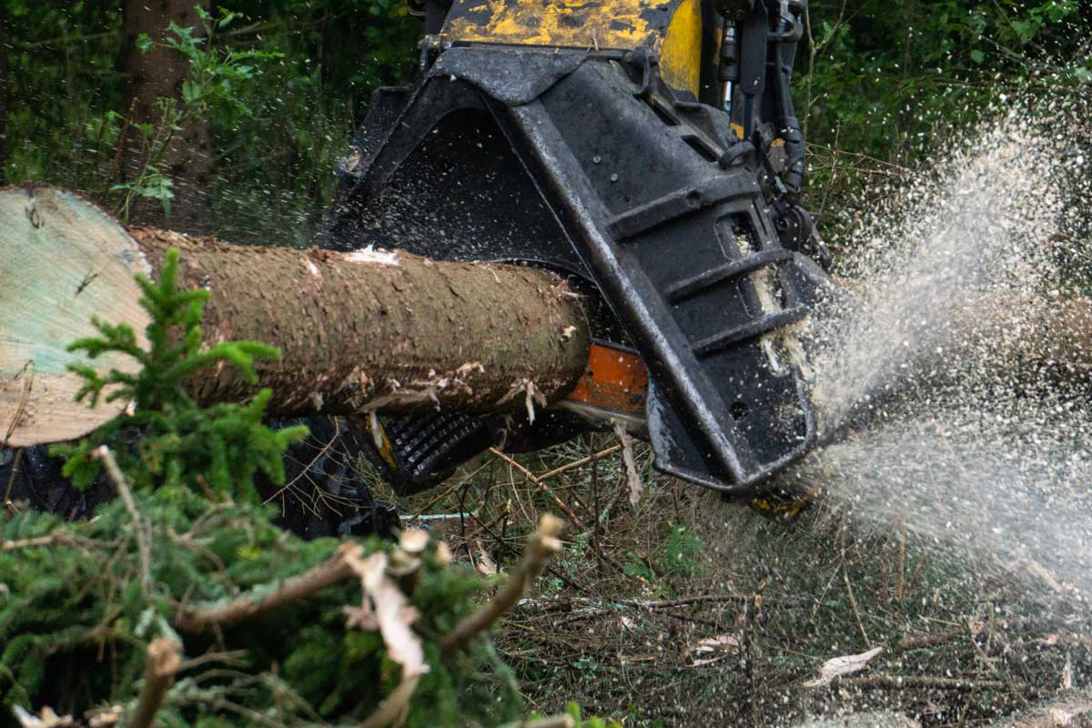 Koneellista metsäurakointia