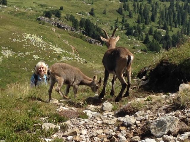 Berner Oberland - Malergeschäft Tobler GmbH