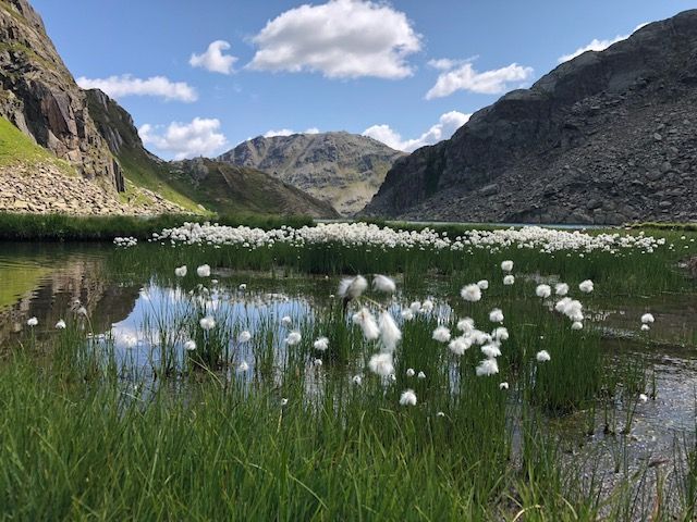 Tomasee - Malergeschäft Tobler GmbH