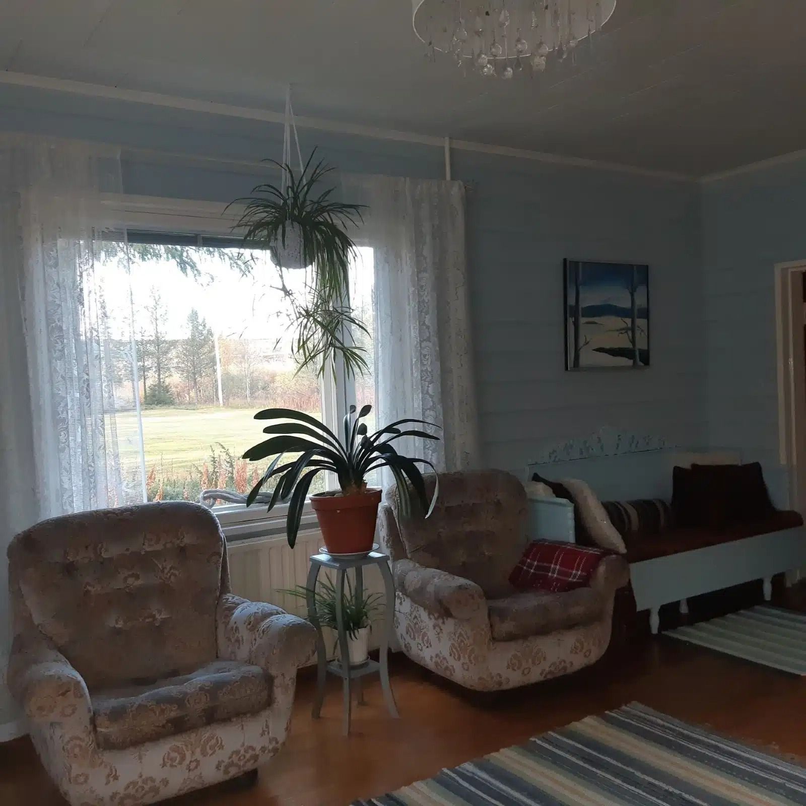 Kirkas olohuone, jossa on kaksi beigenväristä nojatuolia, ruukkukasvi ikkunan vieressä ja ruskea sohva raidallisen maton lähellä.
