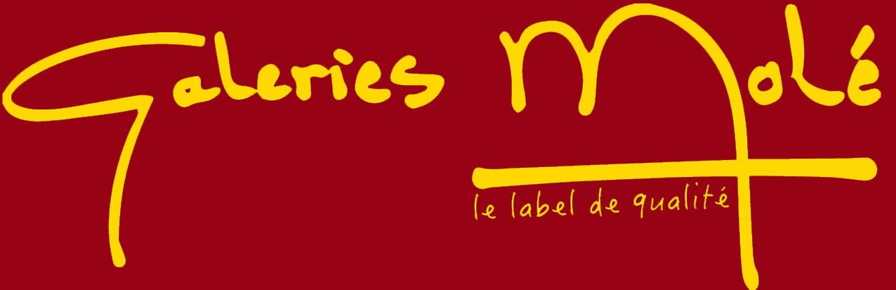 Logo de l'entreprise Galeries Molé