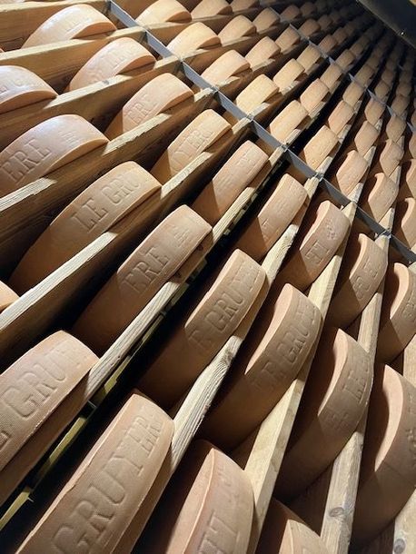 Une rangée de tranches de gruyère sur des étagères en bois