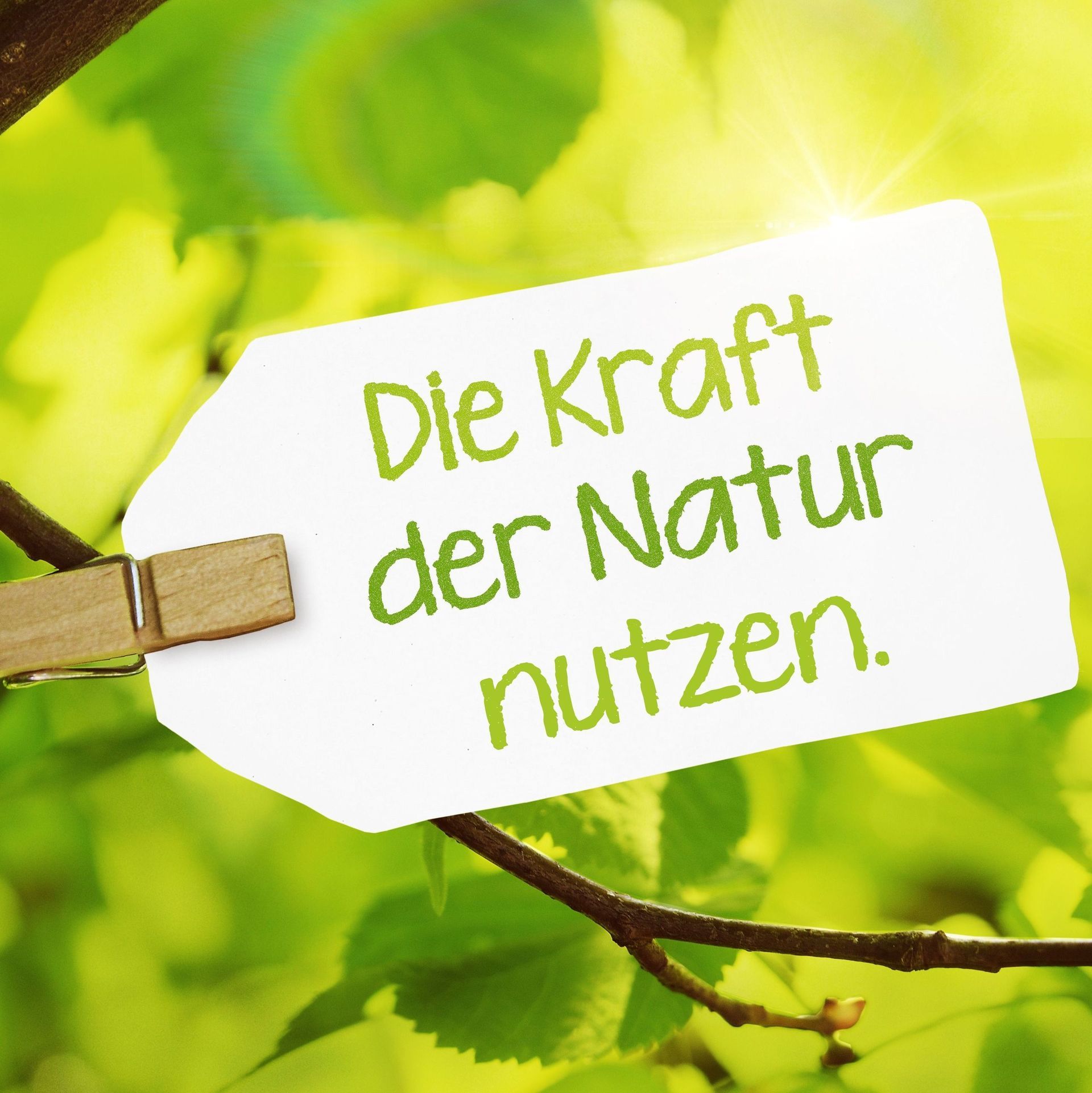 Erneuerbare Energie 1 - Colanero GmbH - Münchenstein