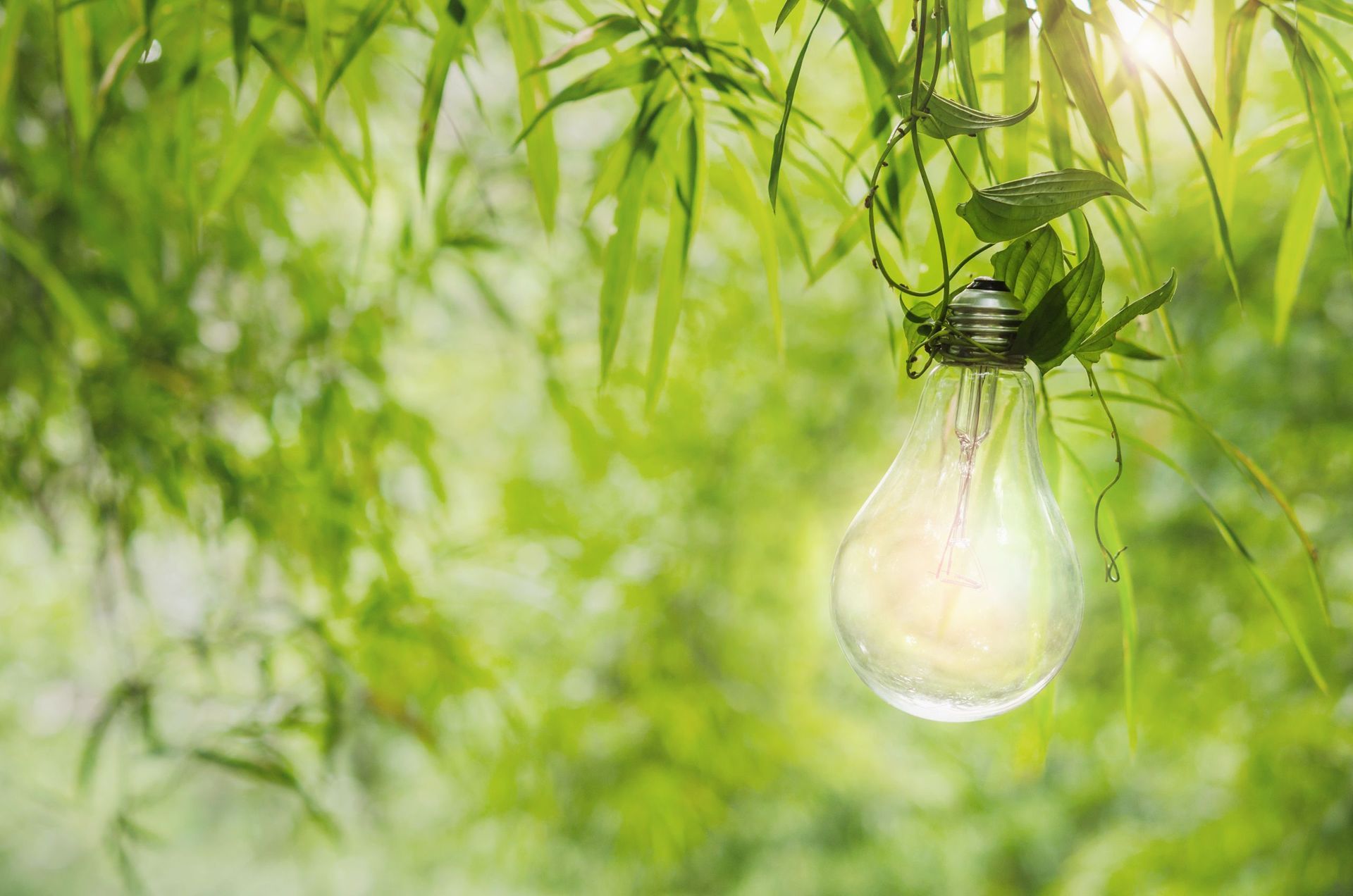 Erneuerbare Energie 2 - Colanero GmbH - Münchenstein