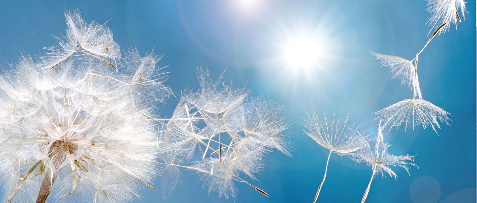 Frische Luft mit der richtigen Lüftungsinstallation - Colanero GmbH - Münchenstein