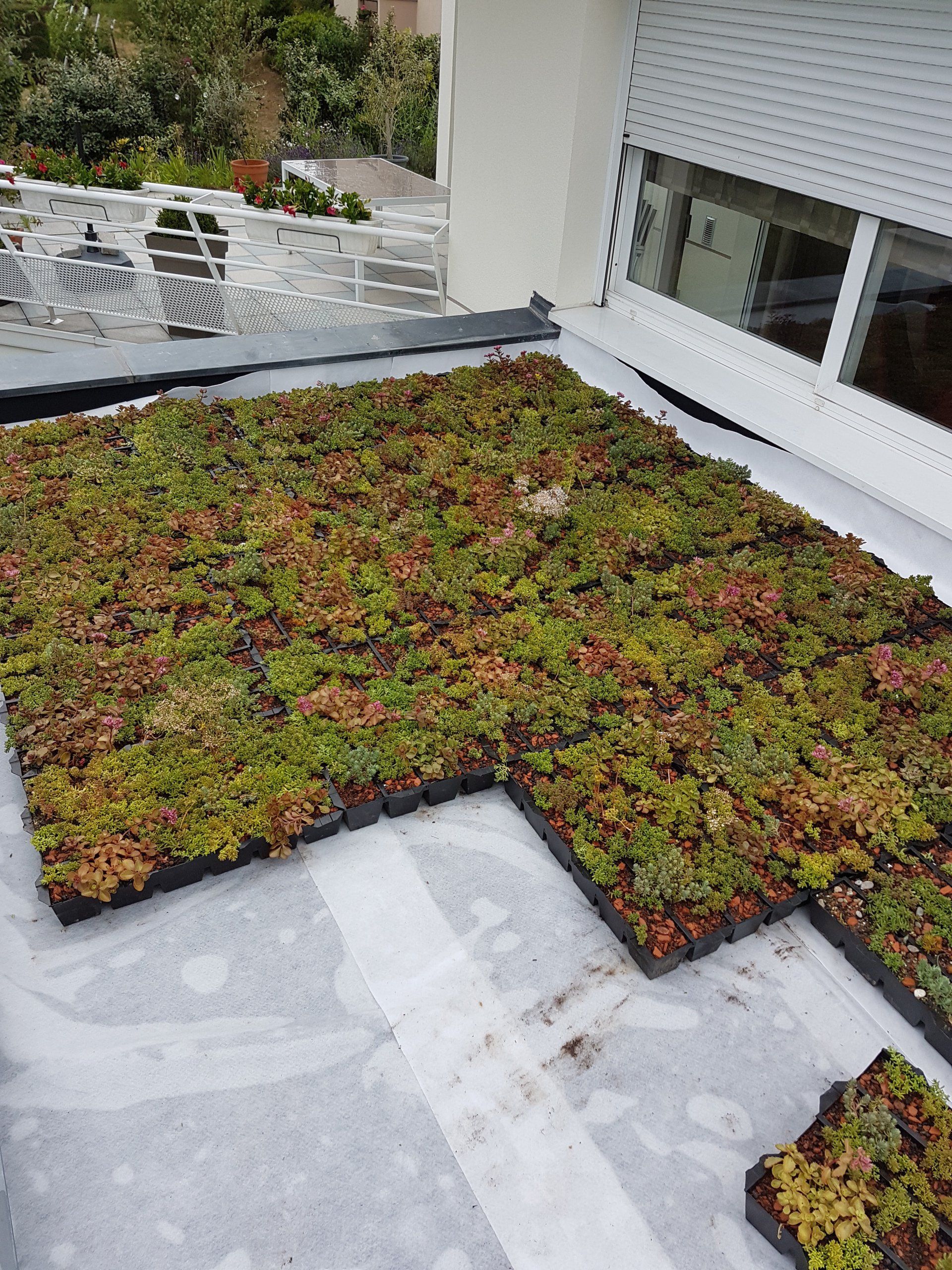 Travaux toiture-terrasse