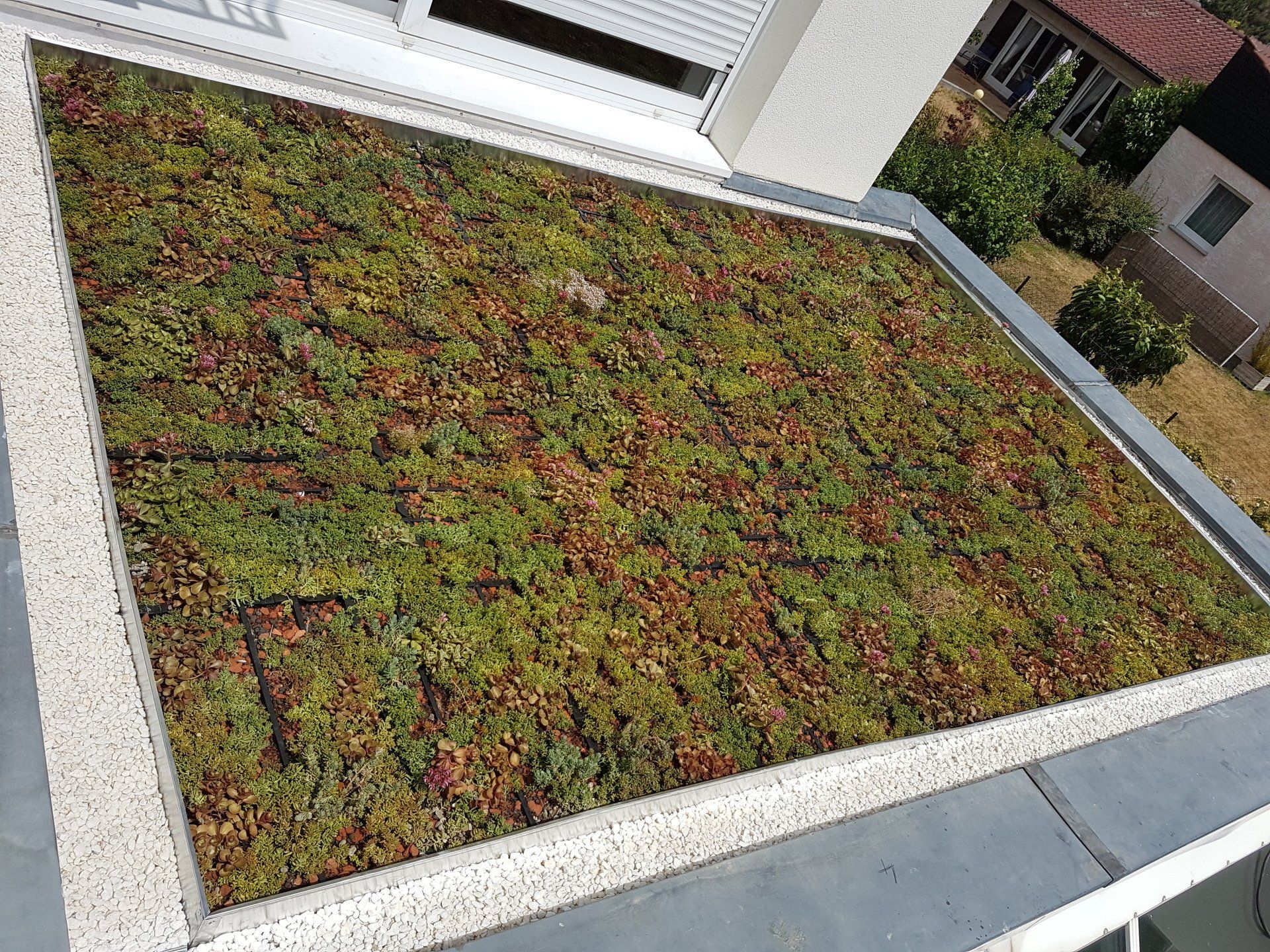 Création d'une toiture végétalisée