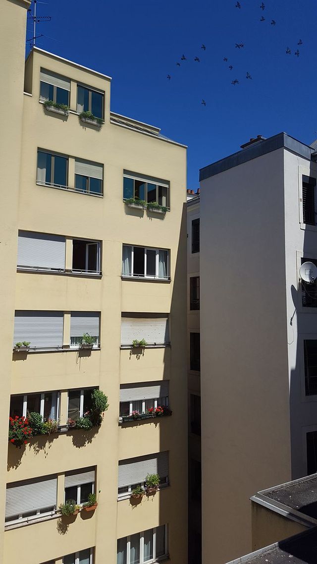 vue de face du bâtiment