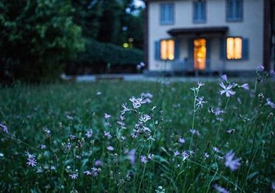 Des fleurs sauvages dans une cour herbeuse au crépuscule, avec une maison doucement éclairée qui brille en arrière-plan.