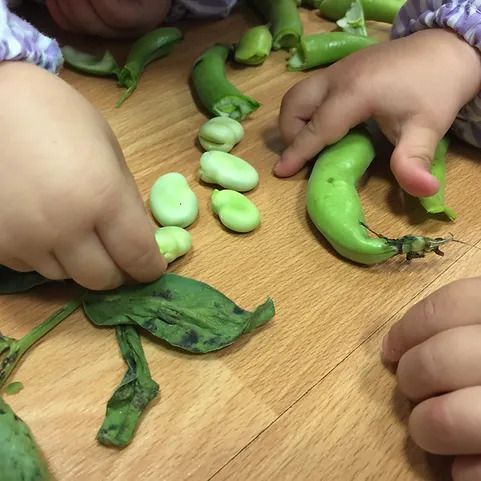 Dos niños juegan con verduras verdes en una mesa de madera.