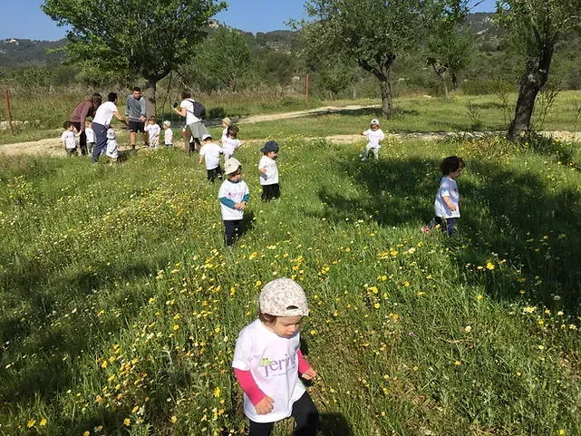 Un grupo de niños camina por un campo de flores.