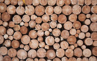 Rondins de bois empilés