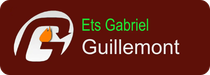 Logo ETS Gabriel Guillemont