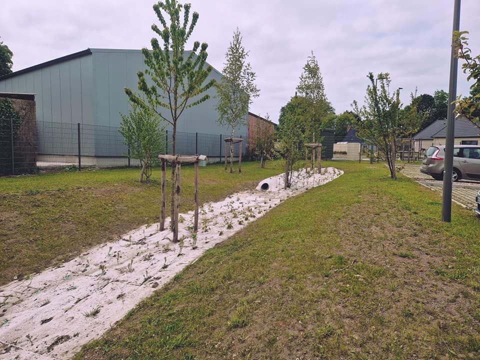 Plantations pour un jardin public