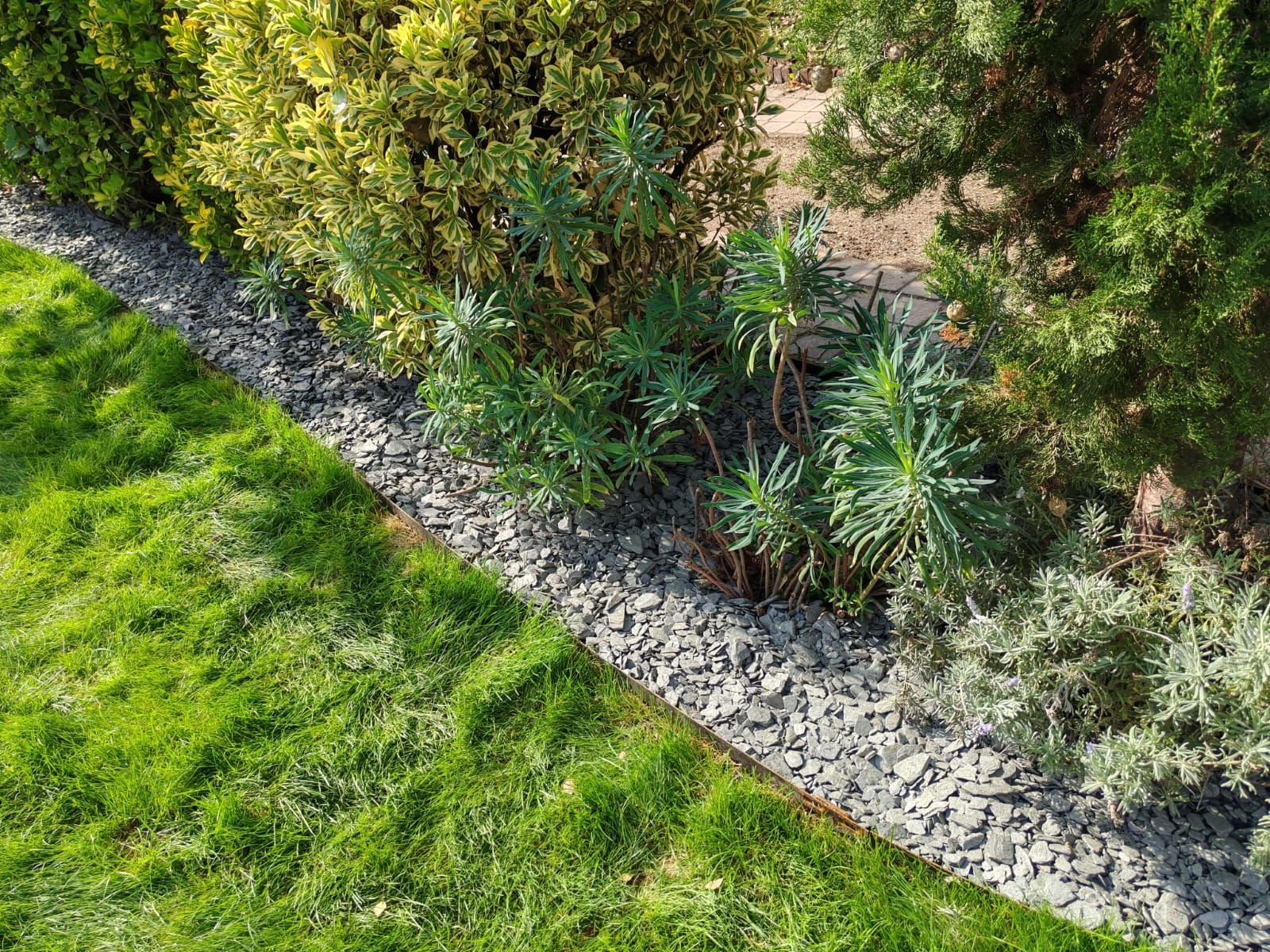 Plantations pour un jardin public