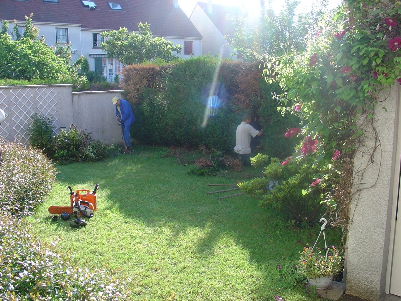 Photo de jardin avec des fleurs