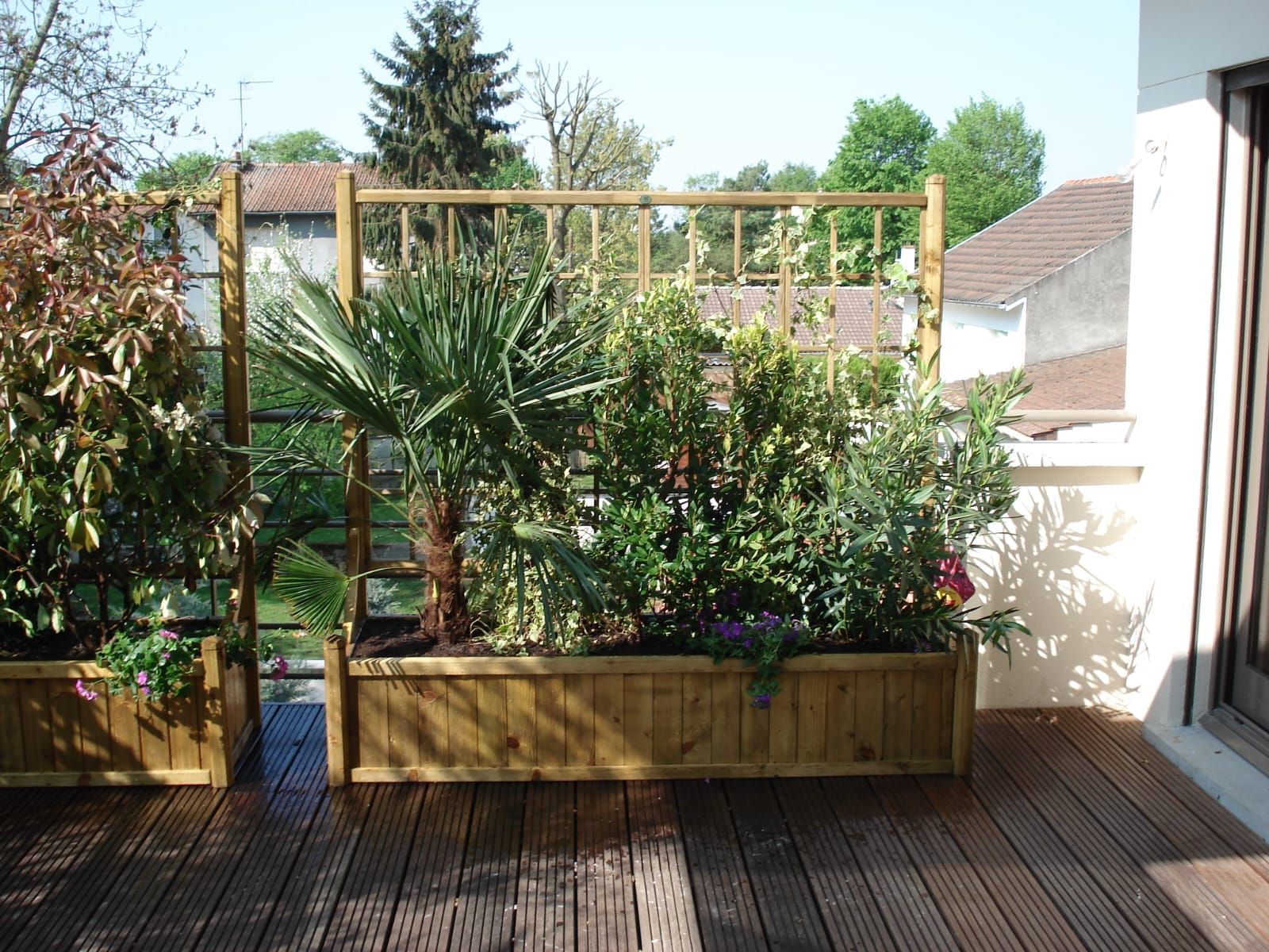 Photo d'une terrasse en bois avec des plantes dans des bocaux en bois