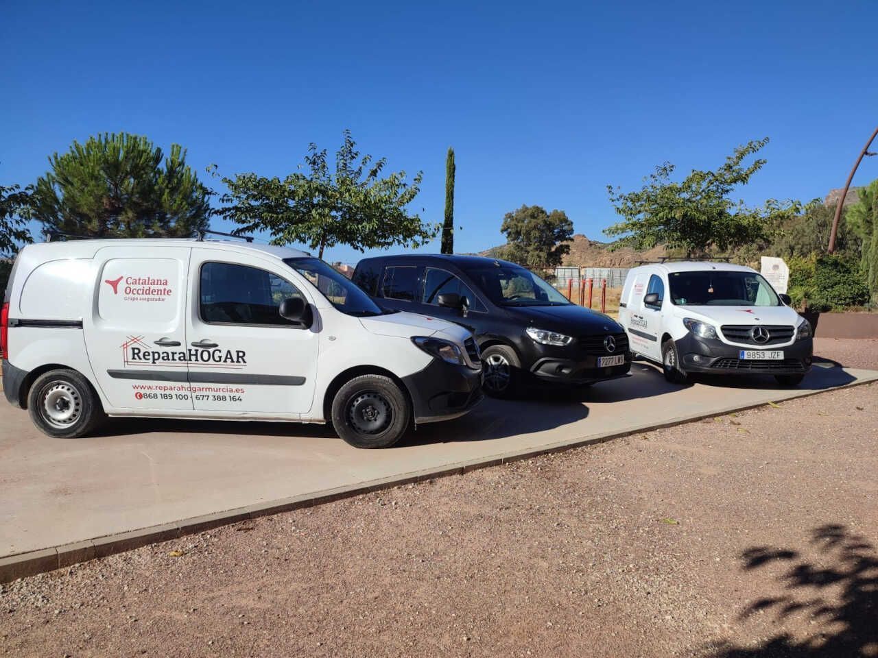 Tres furgonetas están estacionadas una al lado de la otra en un camino de tierra.