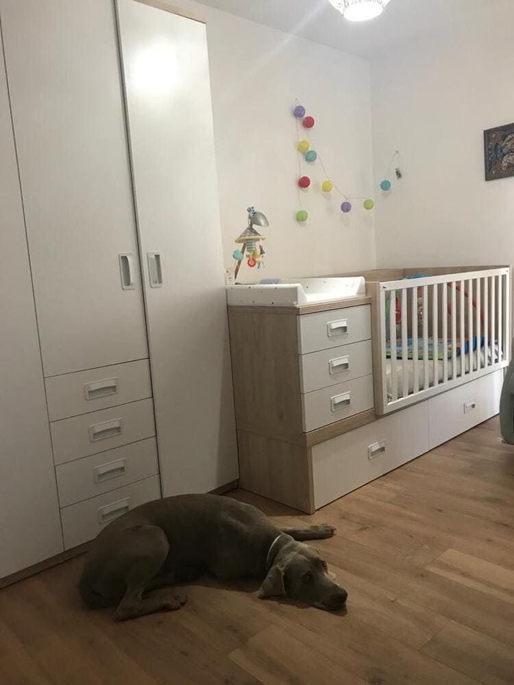 Perro acostado en el suelo en la habitación del bebé con cuna, cambiador y armario.