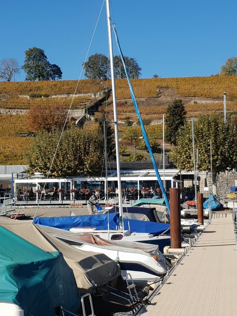 Une rangée de bateaux est amarrée dans une marina par une journée ensoleillée