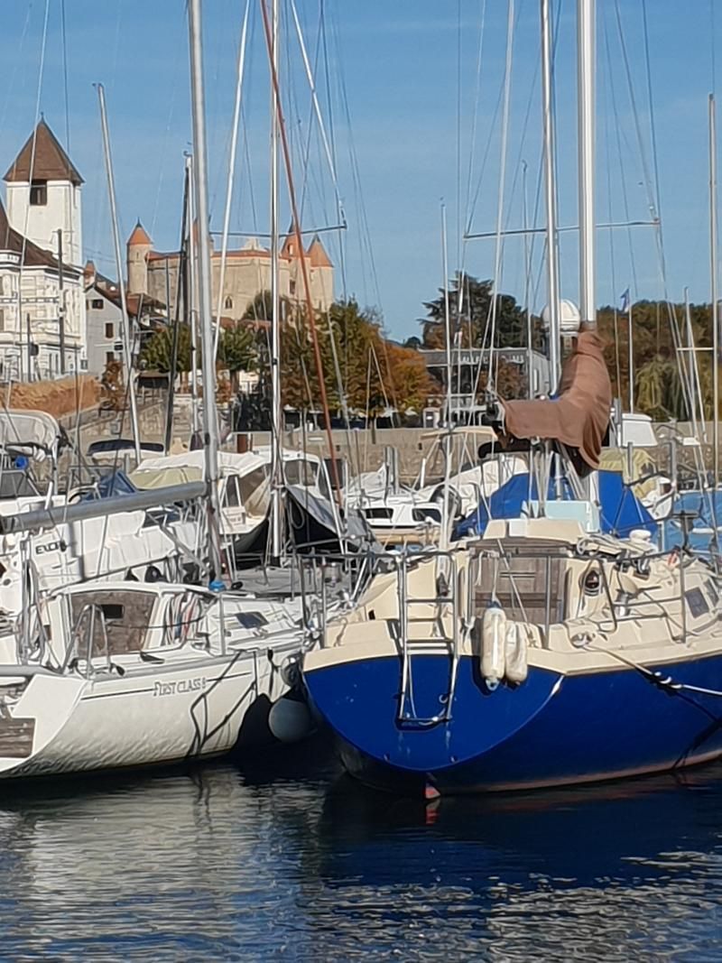 Un groupe de voiliers est amarré sur le port.