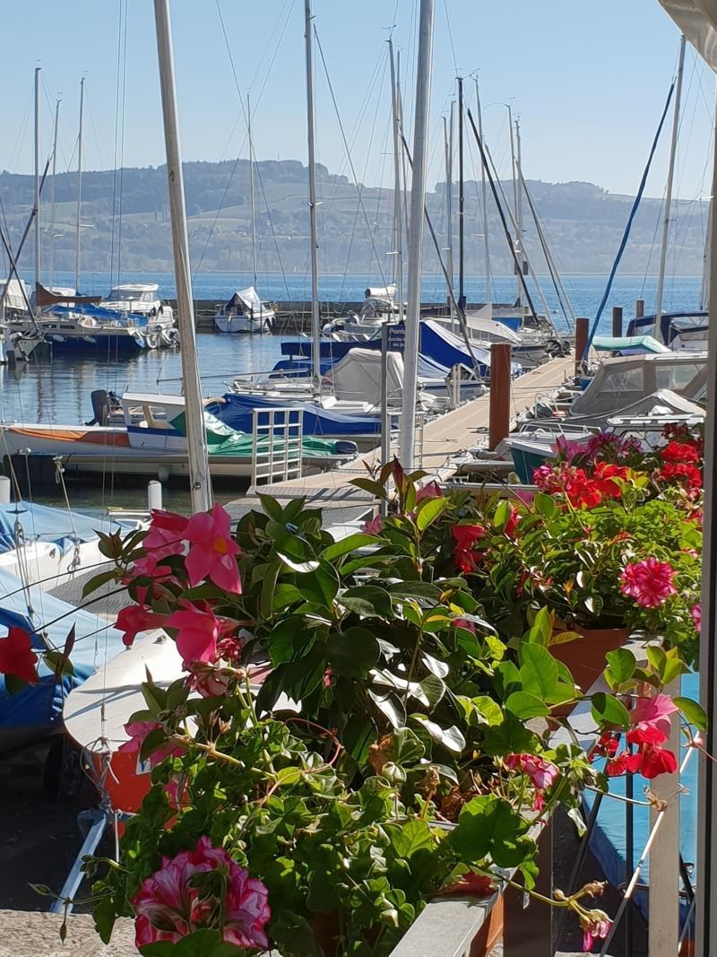 Une vue sur une marina avec des bateaux et des fleurs au premier plan