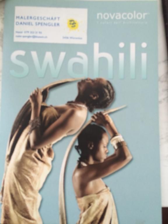 Gipser - Würenlos - Malergeschäft Daniel Spengler