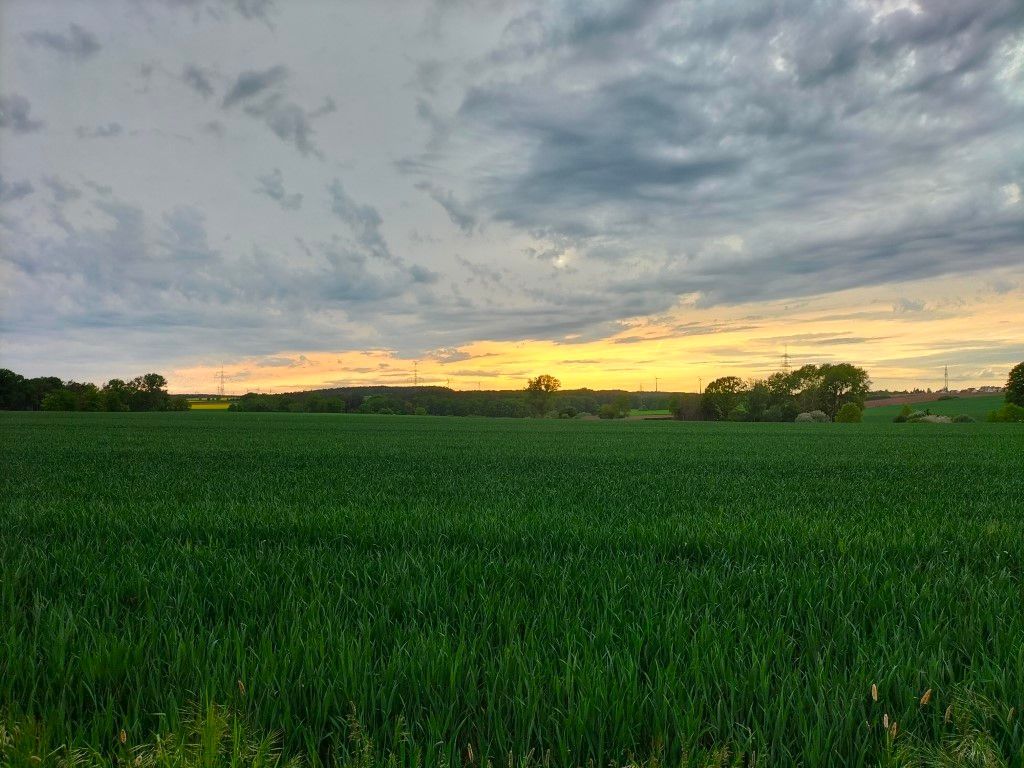 Ein zufriedener Kunde kauft frische Spargel aus eigenem Anbau in Veitsbronn.