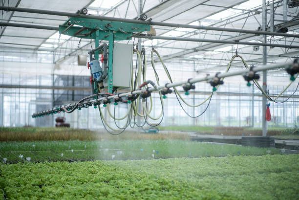 Une femme est agenouillée dans un champ, tenant de la terre dans ses mains.