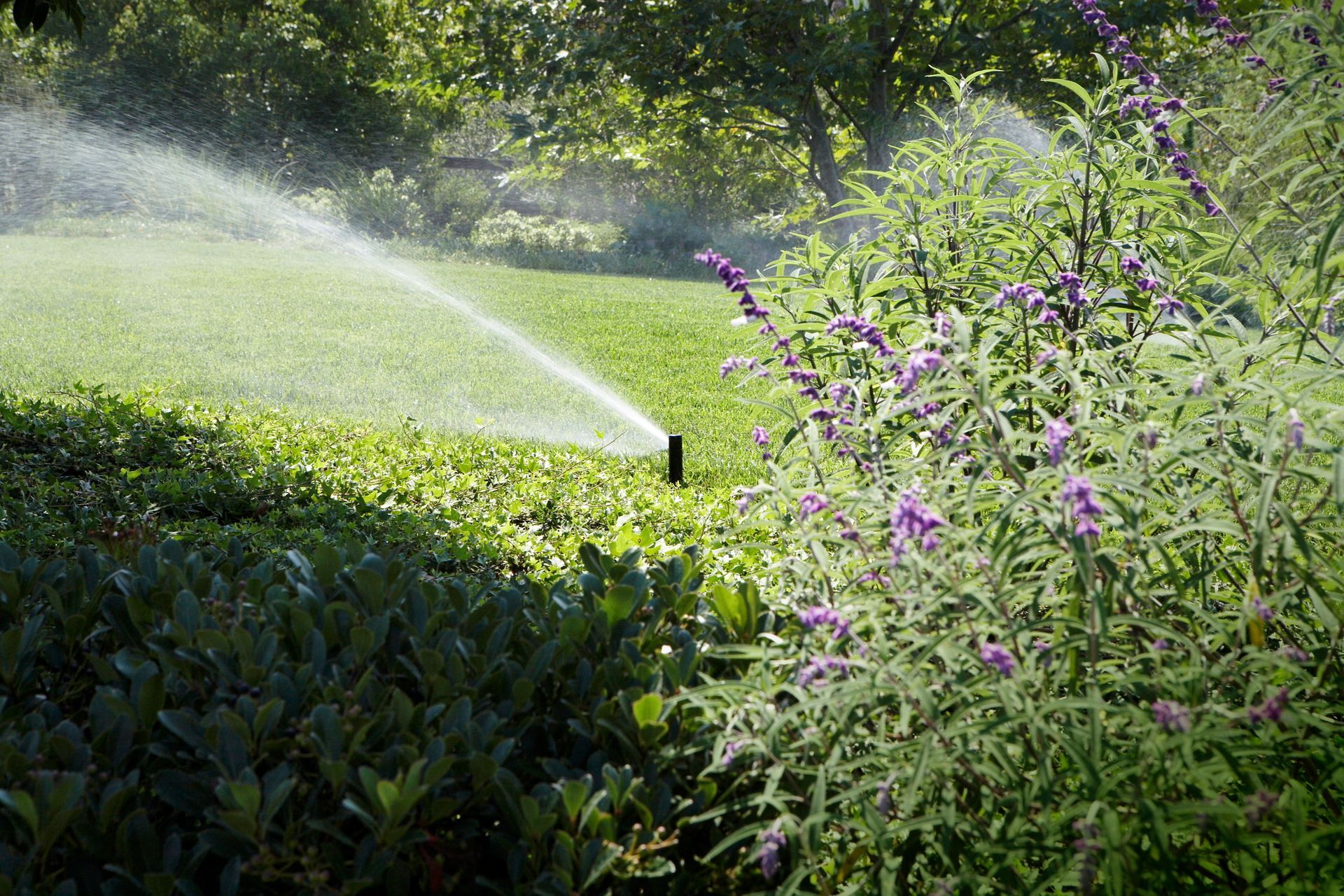 Un grand système d'irrigation pulvérise de l'eau sur un champ vert luxuriant.