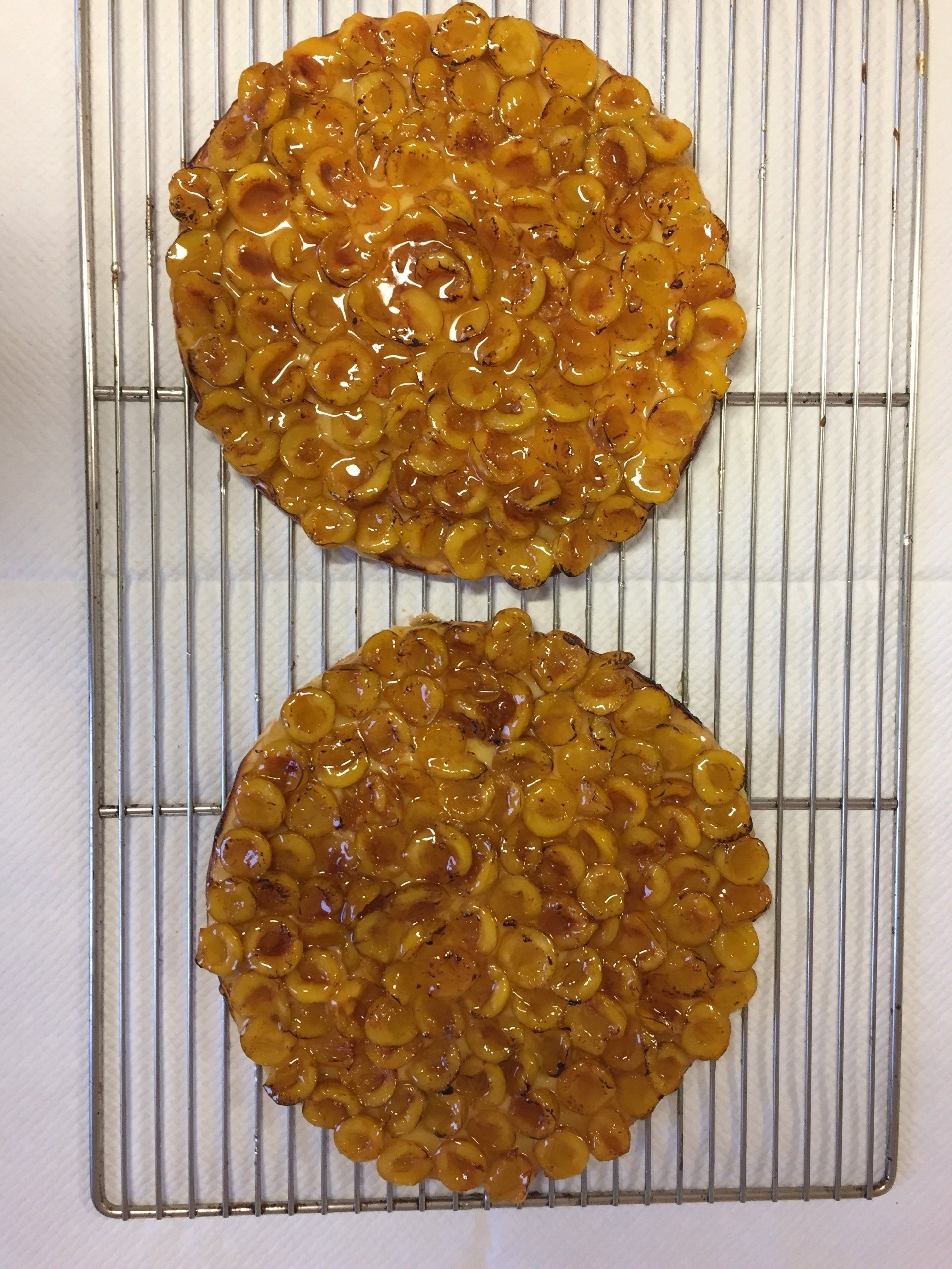Tarte abricots
