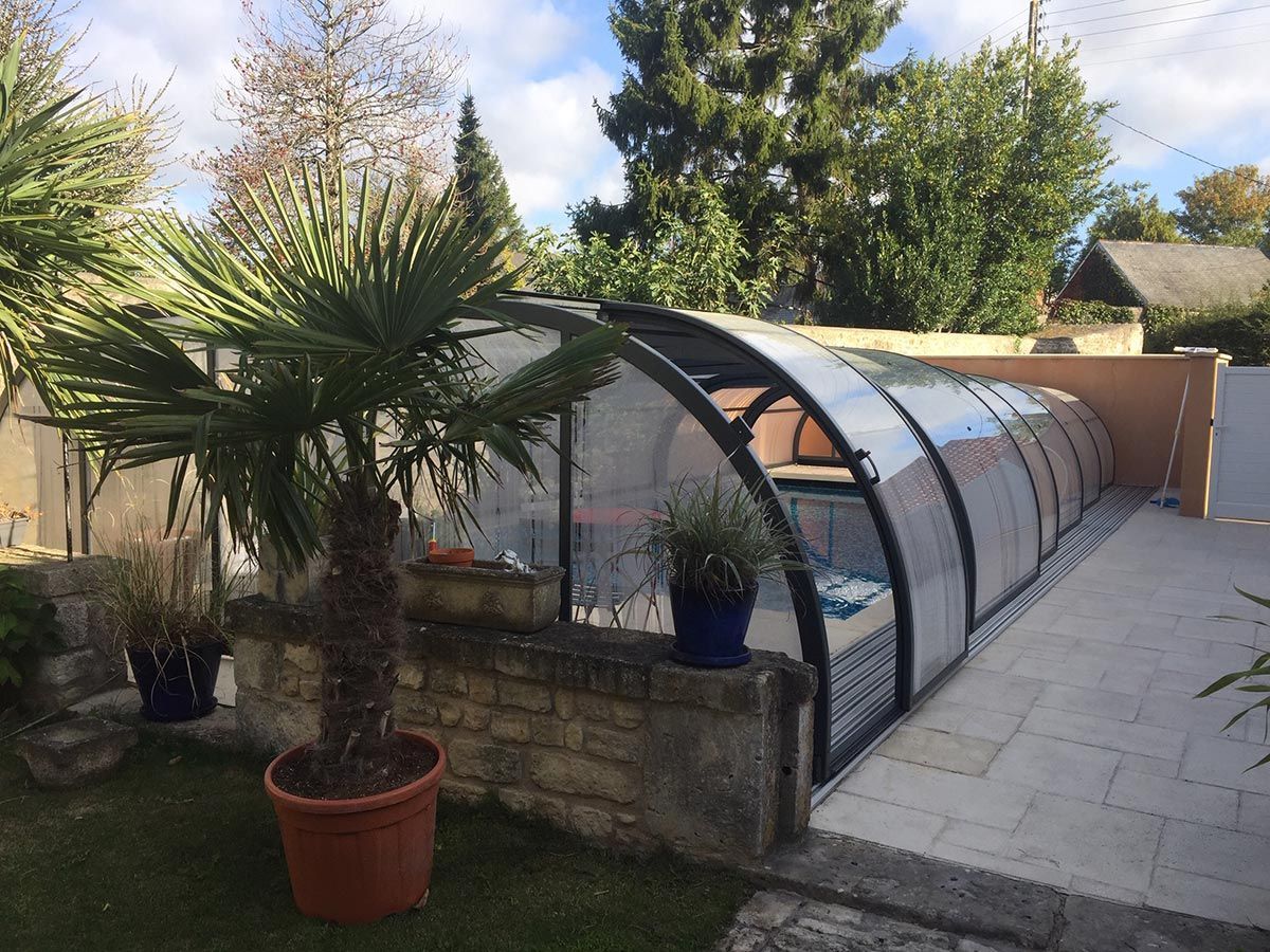 Abris de piscine en aluminium avec un palmier devant
