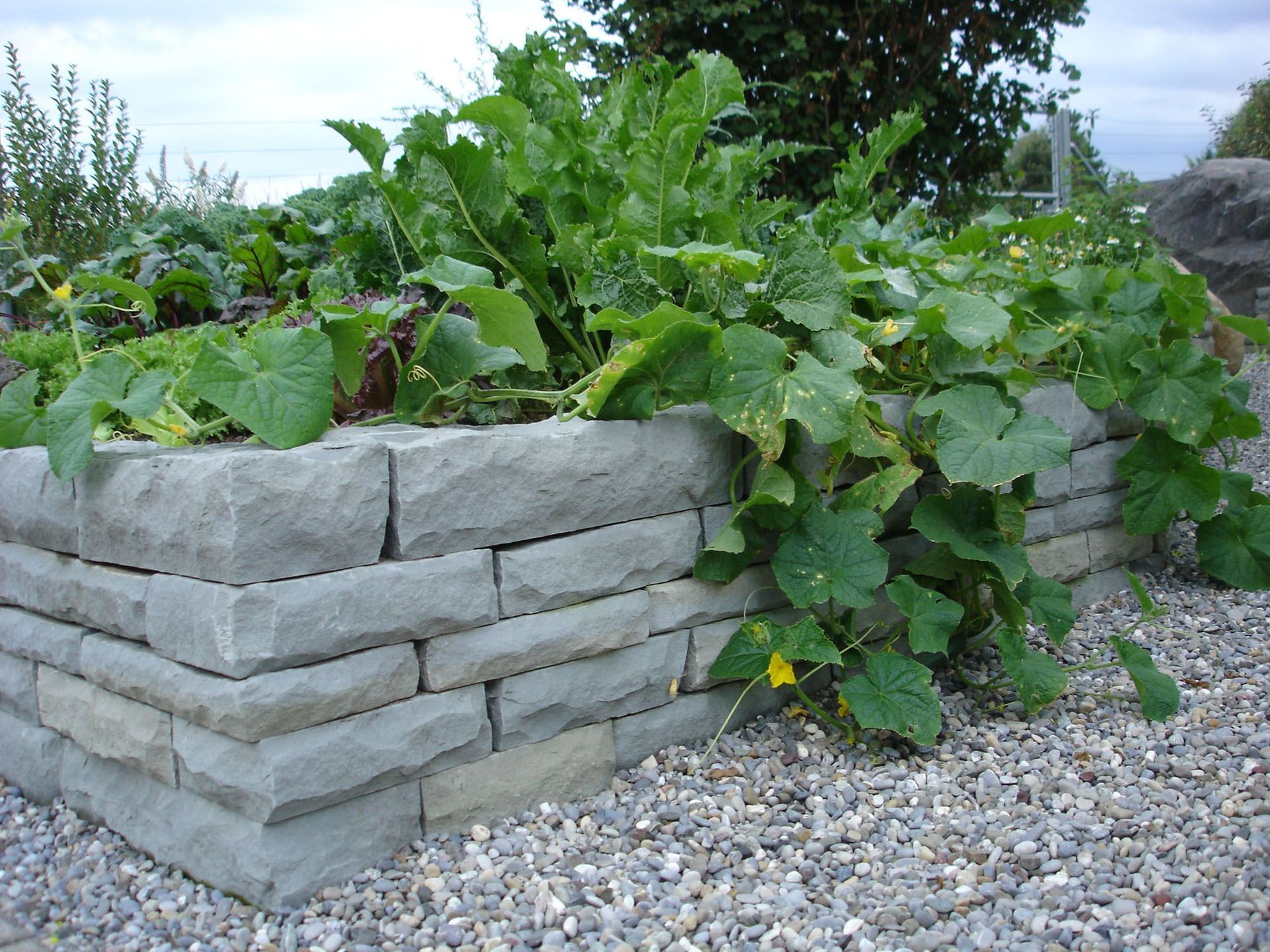 Natursteinmauern - Steinmetz - Naturstein Spezialist - Thomas Gärten GmbH - Wald - Zürich 13