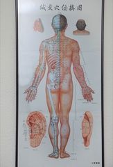 Vitta Santé - Médecine traditionnelle chinoise - Bulle