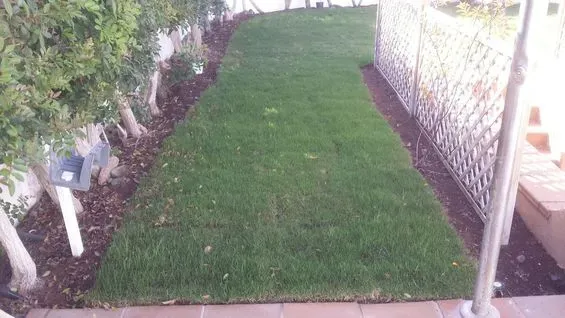 Un exuberante césped verde está rodeado de árboles y una valla.