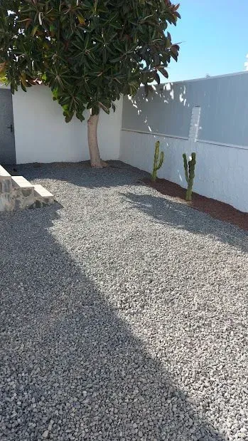 Un camino de grava con un árbol y un cactus al fondo.