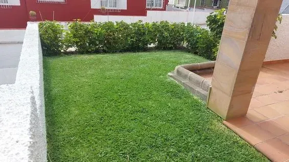 Un exuberante césped verde está rodeado de arbustos y una valla blanca.