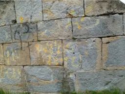 Un primer plano de un muro de piedra con hierba creciendo en él.